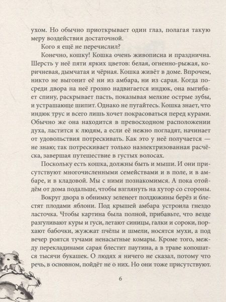 Фотография книги "Андрей Кутерницкий: Приключения Птицы Курицы: сказочная история"