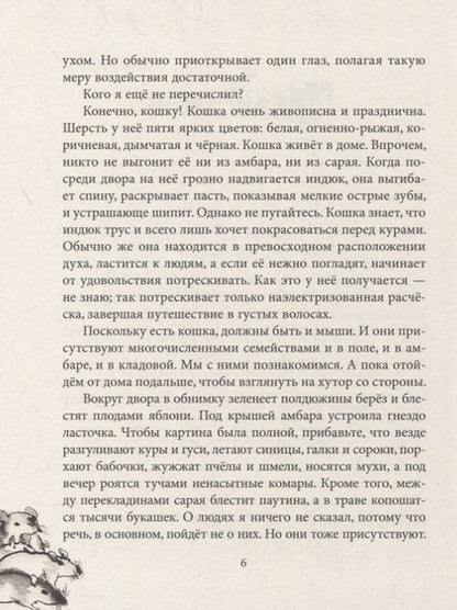 Фотография книги "Андрей Кутерницкий: Приключения Птицы Курицы: сказочная история"