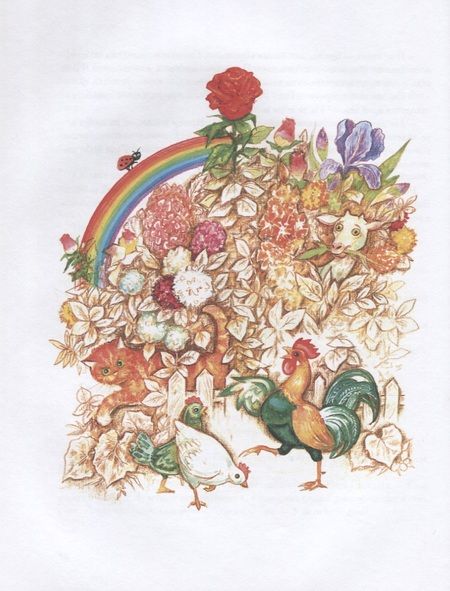 Фотография книги "Андрей Кутерницкий: Тайна Розы Рассвета"