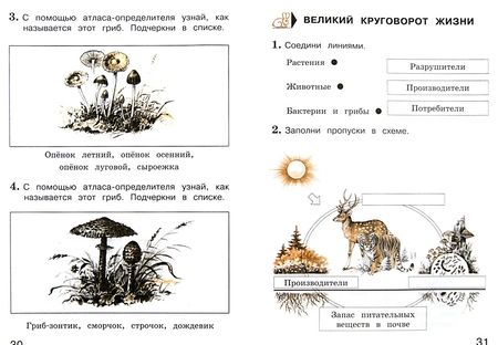 Фотография книги "Андрей Плешаков: Окружающий мир. 3 класс. Тетрадь для учащихся. В 2-х частях. Часть 1. ФГОС"