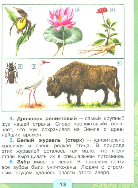 Фотография книги "Андрей Плешаков: Окружающий мир. Первый год обучения. Учебное пособие. В 3-х частях. ФГОС"