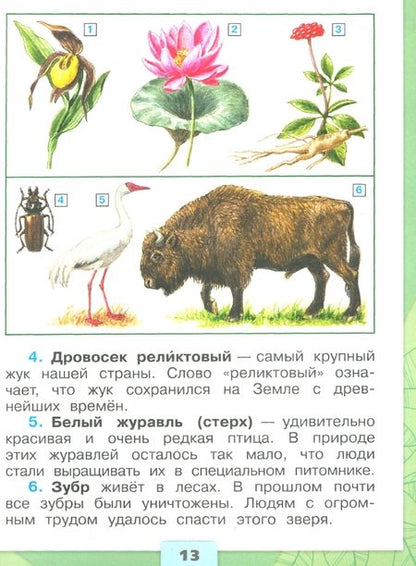 Фотография книги "Андрей Плешаков: Окружающий мир. Первый год обучения. Учебное пособие. В 3-х частях. ФГОС"