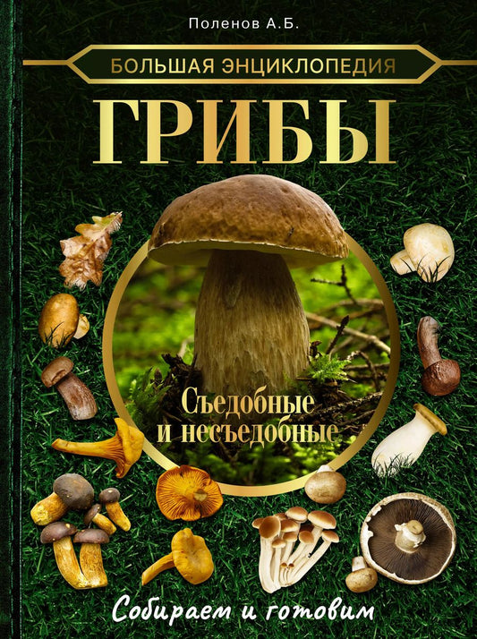Обложка книги "Андрей Поленов: Большая энциклопедия грибника. Съедобные и несъедобные. Собираем и готовим"