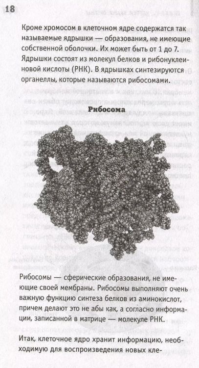 Фотография книги "Андрей Шляхов: Анатомия. Разоблачение человека"