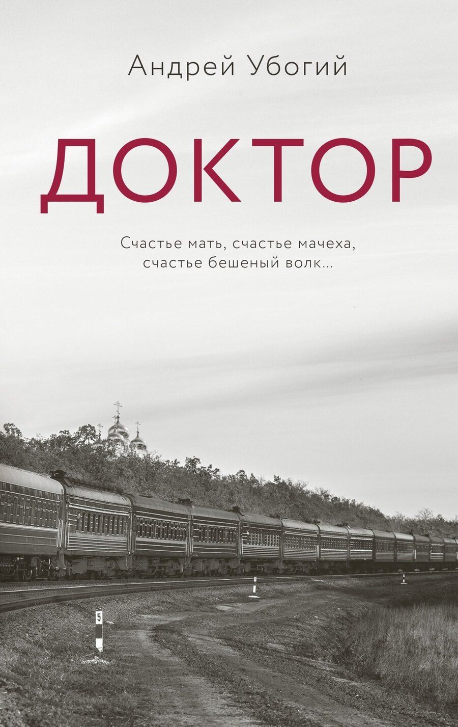 Обложка книги "Андрей Убогий: Доктор"