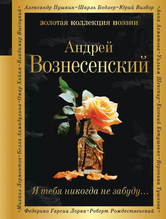 Обложка книги "Андрей Вознесенский: Я тебя никогда не забуду..."