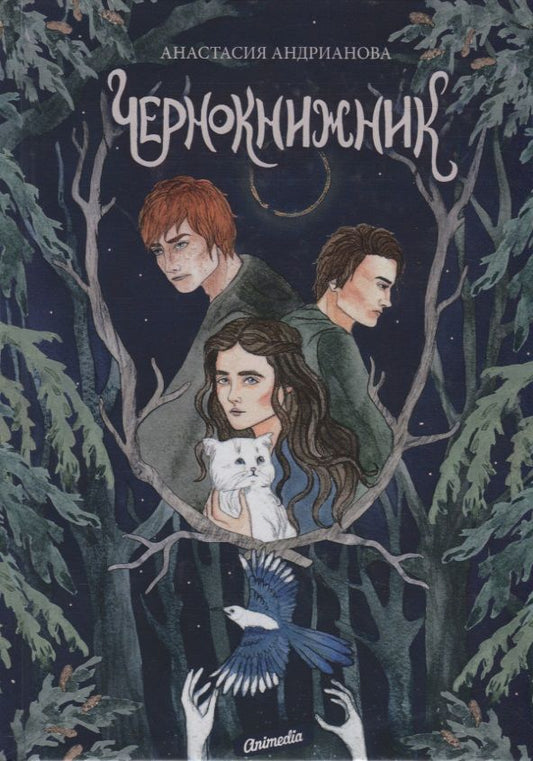 Обложка книги "Андрианова: Чернокнижник"