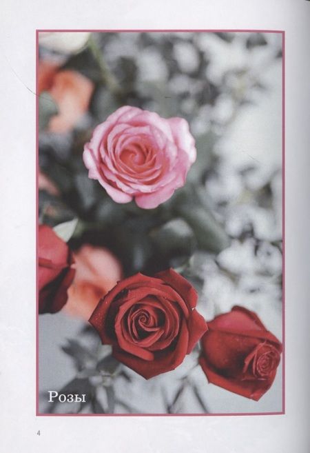 Фотография книги "Андронова: Цветы "