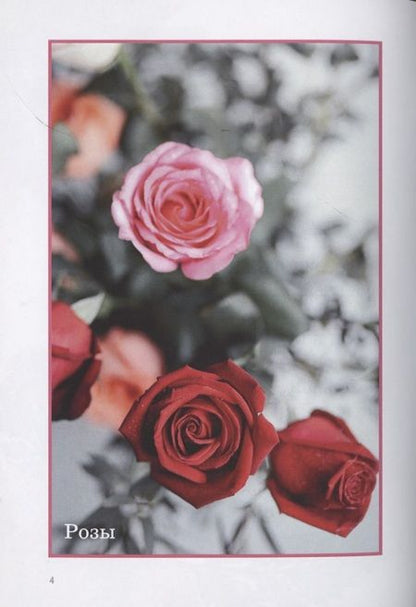 Фотография книги "Андронова: Цветы "