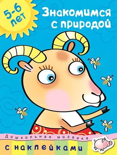 Обложка книги "Анджеевска, Земцова: Знакомимся с природой (5-6 лет)"