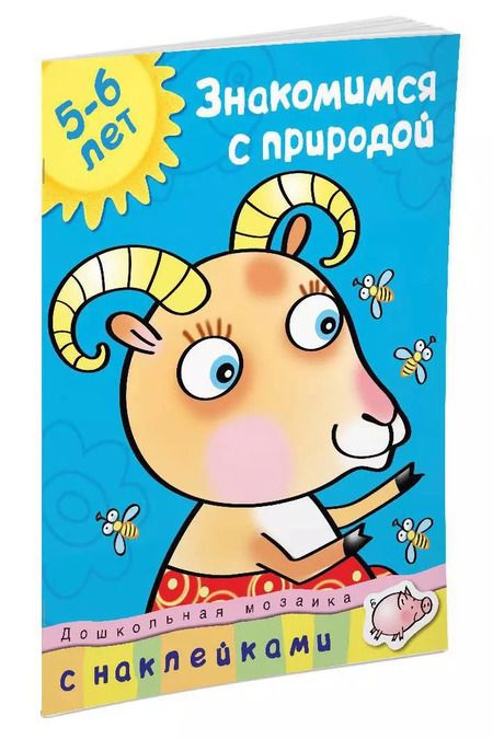 Фотография книги "Анджеевска, Земцова: Знакомимся с природой (5-6 лет)"
