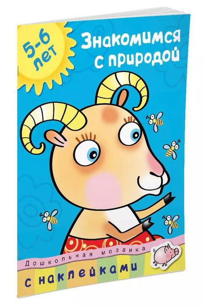 Фотография книги "Анджеевска, Земцова: Знакомимся с природой (5-6 лет)"