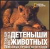 Обложка книги "Анджела Серена: Детеныши животных: Самые лучшие фотографии. Альбом"