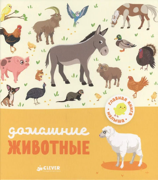 Обложка книги "Аньес Бессон: Домашние животные"