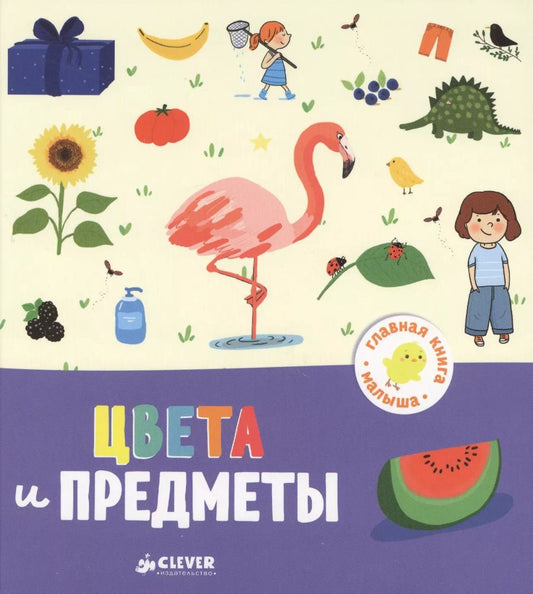 Обложка книги "Аньес Бессон: Цвета и предметы"
