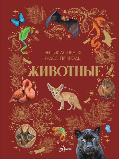Обложка книги "Ангелина Геннадьевна: Животные"