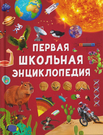 Обложка книги "Ангелина Евгеньевна: Первая школьная энциклопедия"