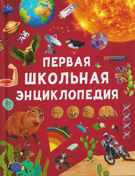 Обложка книги "Ангелина Евгеньевна: Первая школьная энциклопедия"