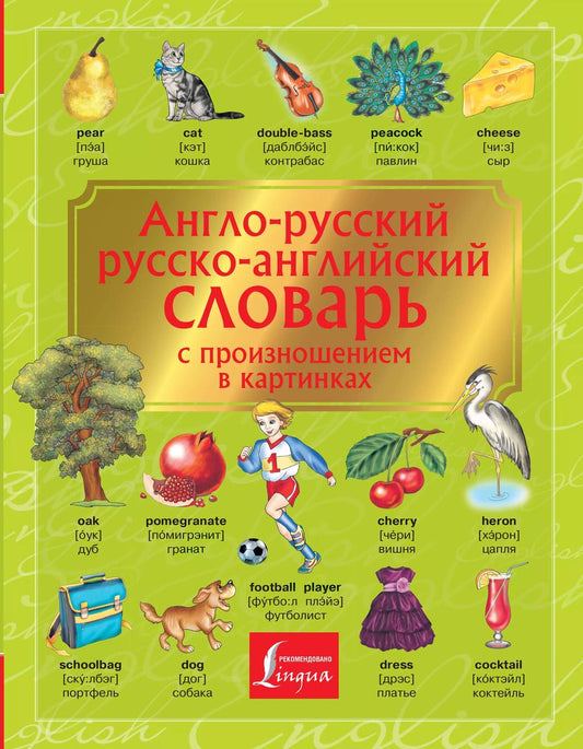 Обложка книги "Англо-русский. Русско-английский словарь с произношением в картинках"
