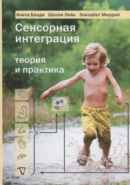 Обложка книги "Анита Банди: Сенсорная интеграция. Теория и практика"
