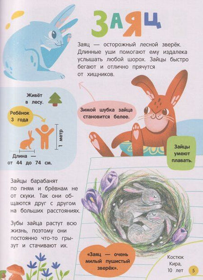 Фотография книги "Анна Александровна: Мир животных: загадки природы глазами детей"