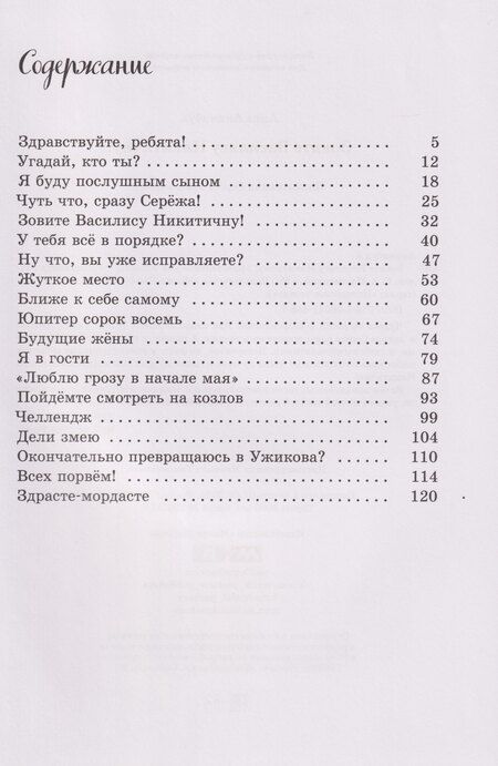 Фотография книги "Анна Анинибуд: Зовите Василису Никитичну!: фантастическая повесть"