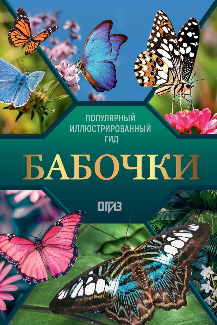 Обложка книги "Анна Артуровна: Бабочки. Иллюстрированный гид"