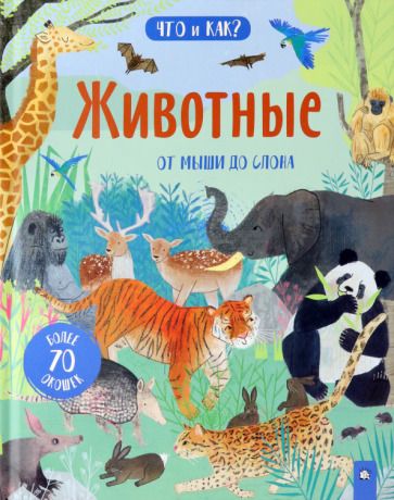 Обложка книги "Анна Боулз: Животные. От мыши до слона"
