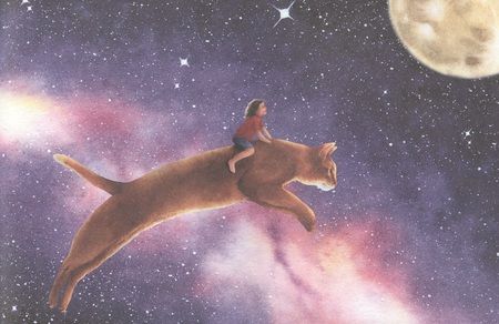 Фотография книги "Анна Дахнович: Удивительные приключения Маленького Бо"