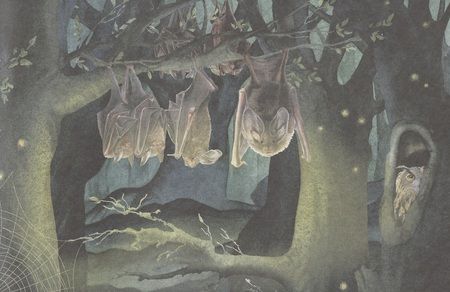 Фотография книги "Анна Дахнович: Удивительные приключения Маленького Бо"