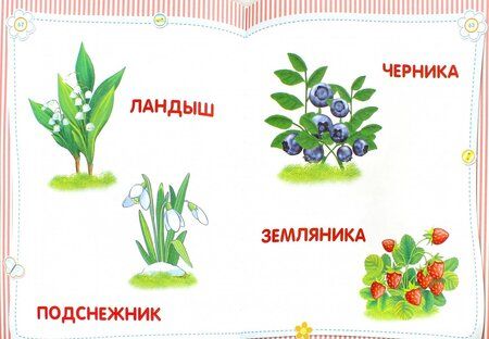 Фотография книги "Анна Далидович: Самая первая книга малыша"