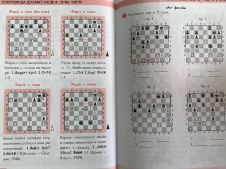 Фотография книги "Анна Дорофеева: Сокровища Шахматландии. Сила фигур"