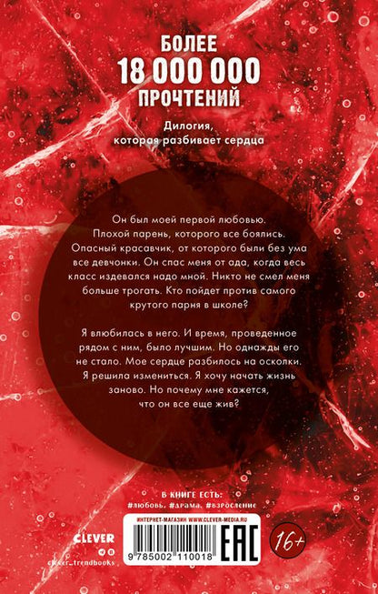Фотография книги "Анна Джейн: По осколкам твоего сердца"