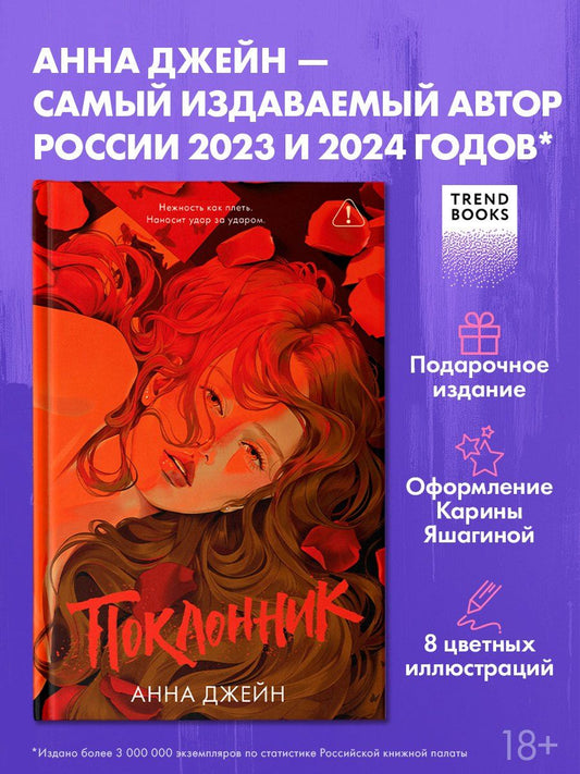 Обложка книги "Анна Джейн: Поклонник"