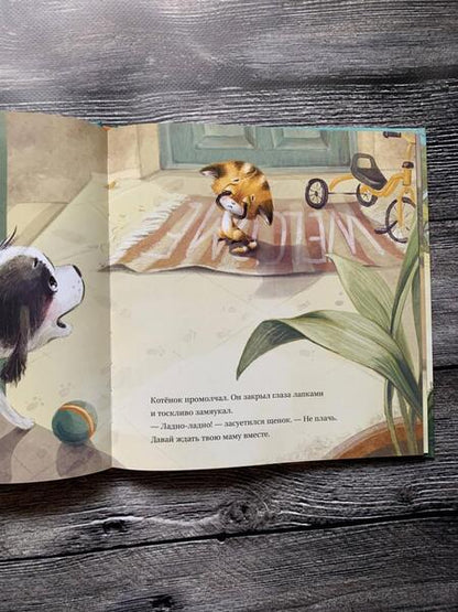 Фотография книги "Анна Федулова: Ты будешь его мамой? Как усатый подкидыш стал любимым сыночком"