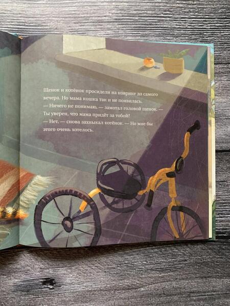 Фотография книги "Анна Федулова: Ты будешь его мамой? Как усатый подкидыш стал любимым сыночком"