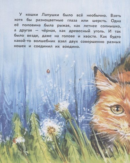 Фотография книги "Анна Федулова: Вместе не страшно"