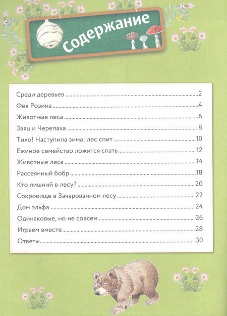 Фотография книги "Анна Казалис: В лесу. Книга с наклейками"