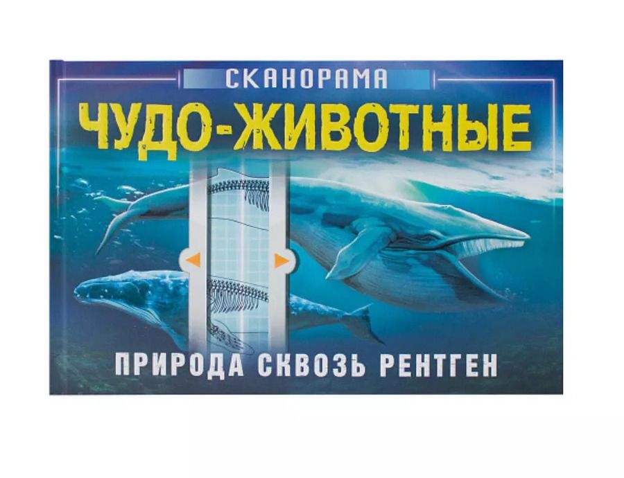 Обложка книги "Анна Клейбурн: Чудо-животные"