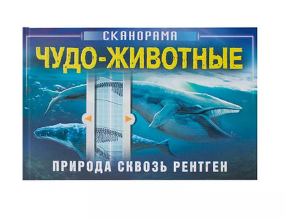 Обложка книги "Анна Клейбурн: Чудо-животные"