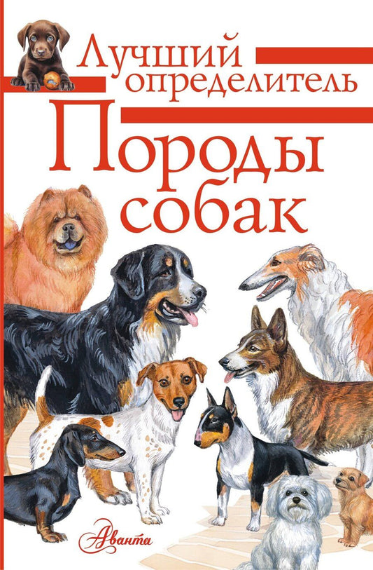 Обложка книги "Анна Константиновна: Породы собак. Определитель"