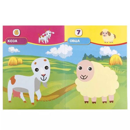 Фотография книги "Анна Козырь: Домашние животные. Аппликация для малышей а4 с наклейками +УМКА АппДММ. 30"