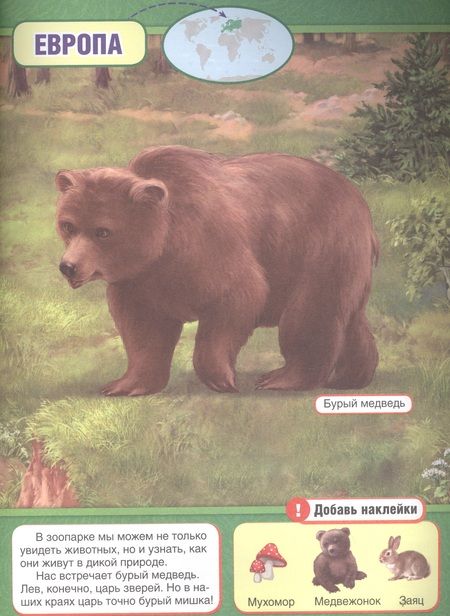 Фотография книги "Анна Козырь: Зоопарк (обучающая книжка с наклейками)"