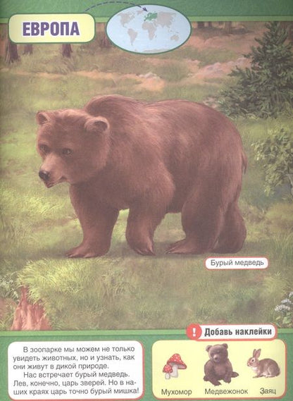 Фотография книги "Анна Козырь: Зоопарк (обучающая книжка с наклейками)"