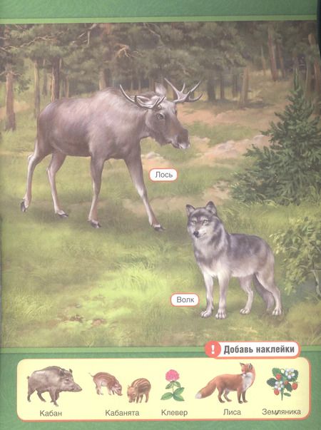 Фотография книги "Анна Козырь: Зоопарк (обучающая книжка с наклейками)"