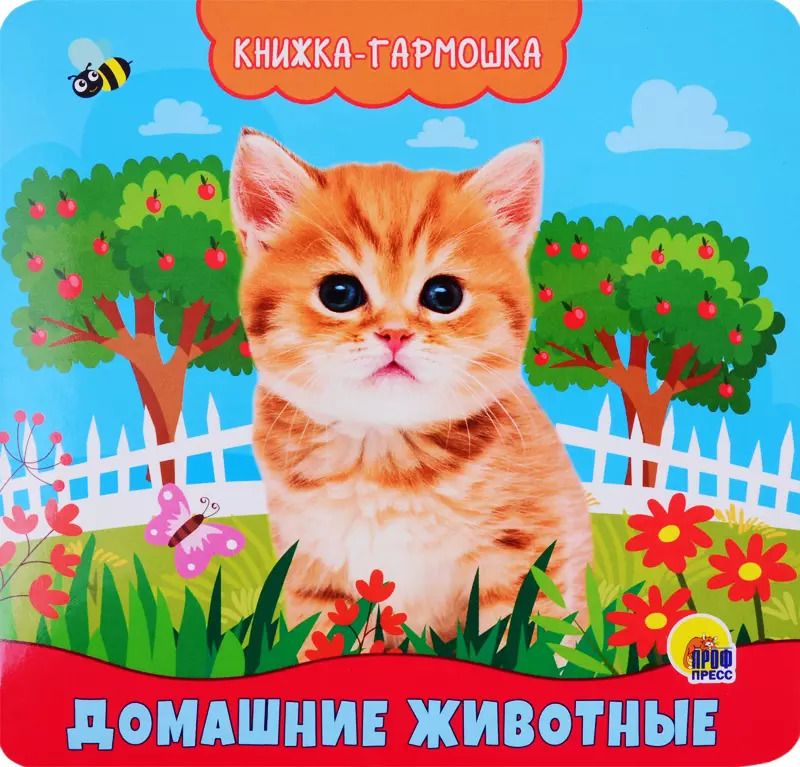 Обложка книги "Анна Купырина: Домашние животные. Книжка-гармошка"