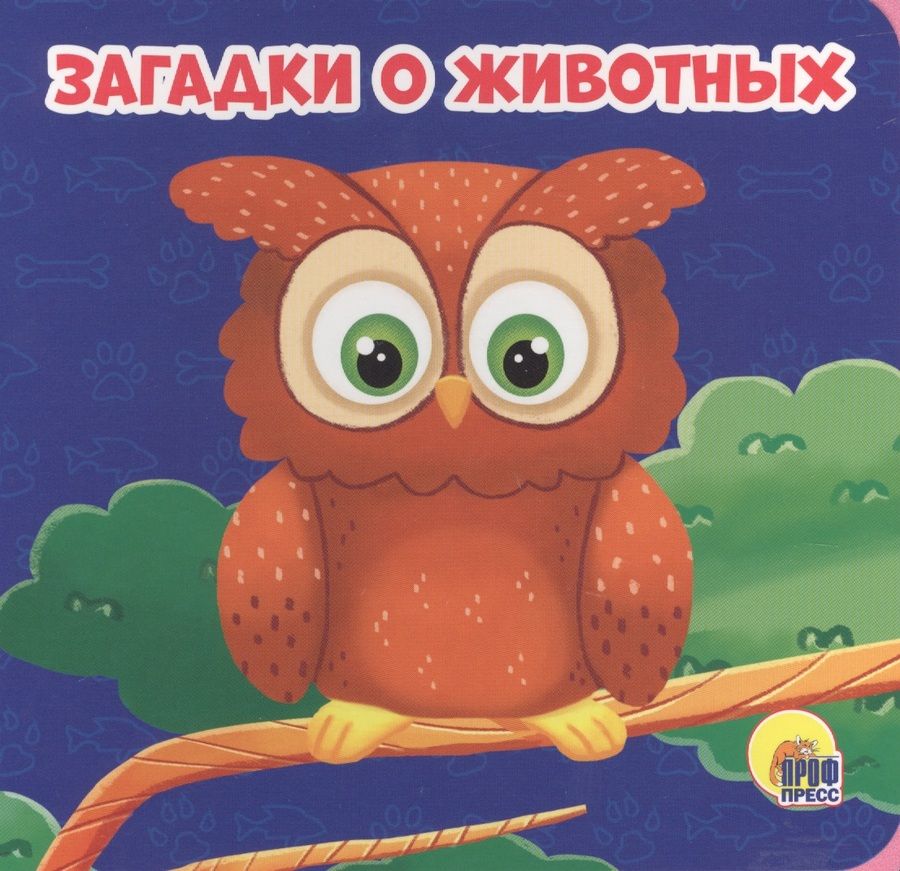 Обложка книги "Анна Купырина: Загадки о животных"