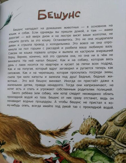 Фотография книги "Анна Никольская: Книга чуДОМищ"