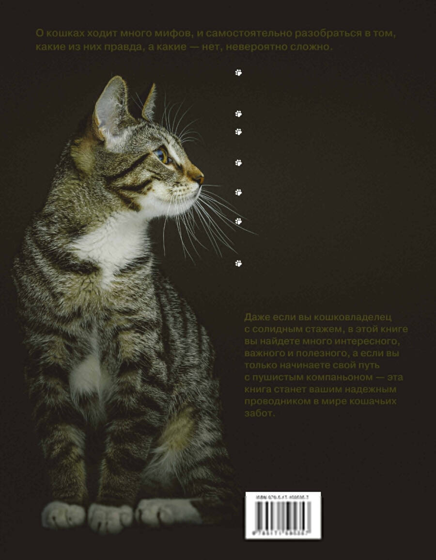 Обложка книги "Анна Орлова: Главная книга владельца кошки"