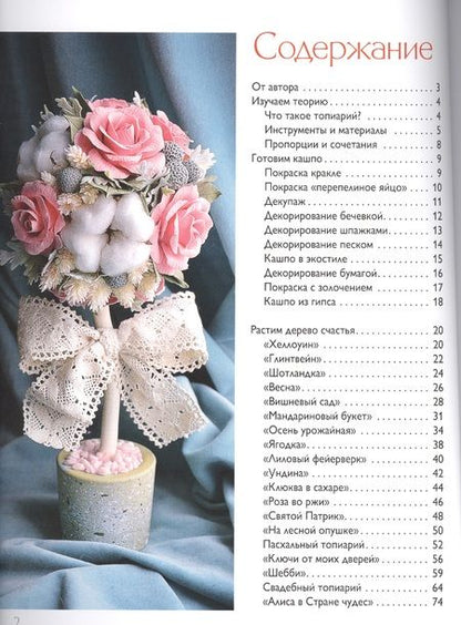 Фотография книги "Анна Рапопорт: Реки, каналы, мосты Петербурга"